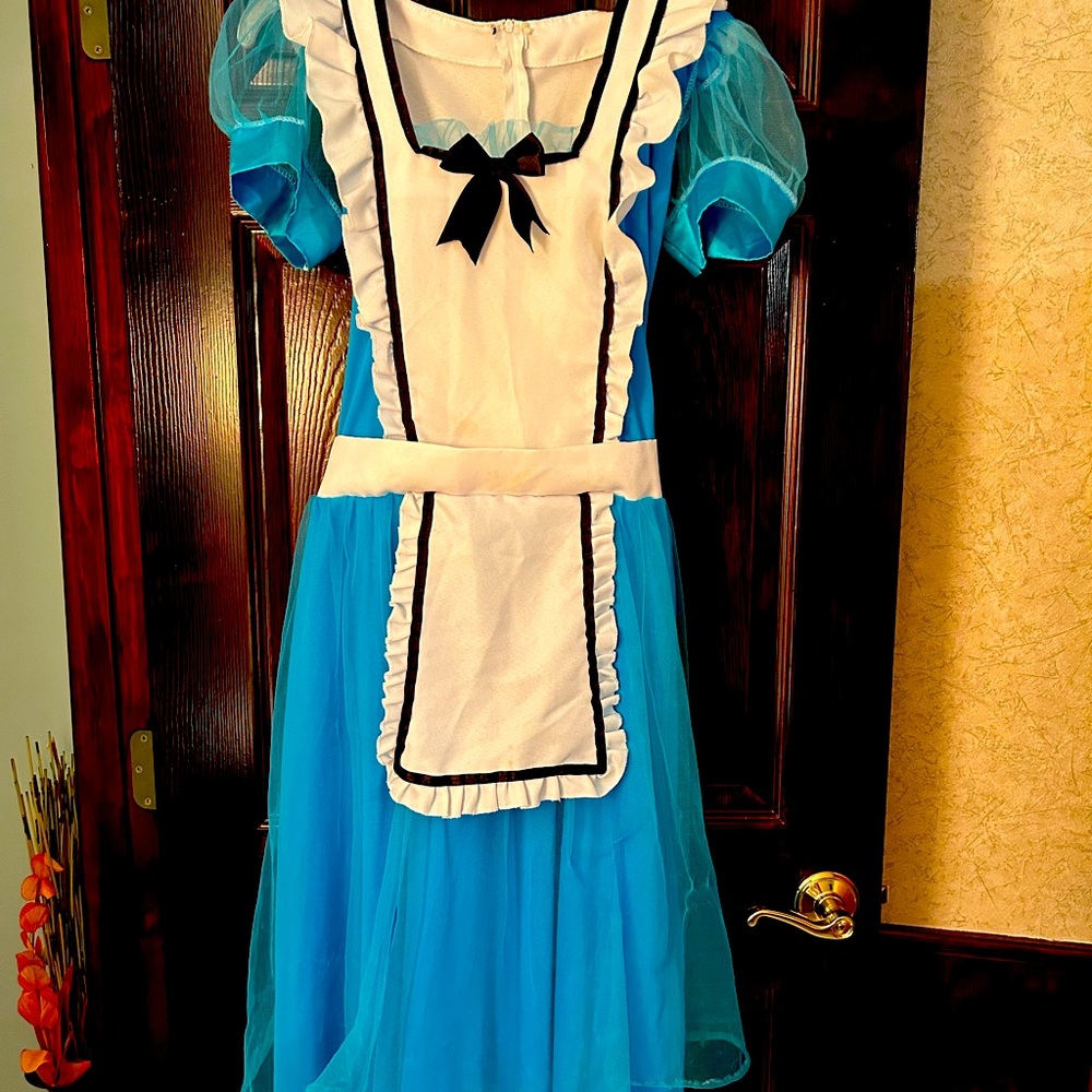 Alice in Wonderland Dress Ladies M/L